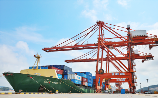 j9真人状元岙港务分公司